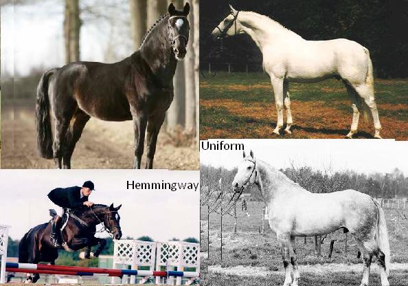 Vader en moeders vader